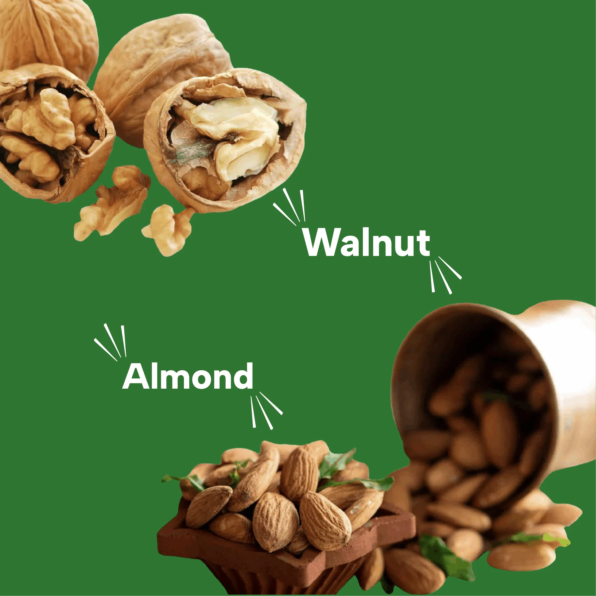 Millet Multigrain Bars - Dry Fruits, Almonds & Walnuts (Pack of 6) - Image 4